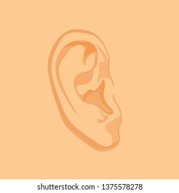 Realistic human ear