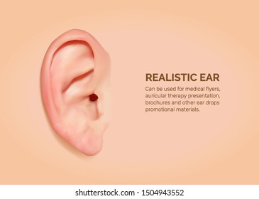 Realistic human ear. Can be used for medical flyers, auricular therapy presentation, brochures and other ear drops promotional materials. Vector illustration