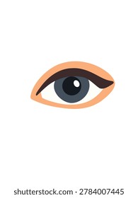 realistic human eye close up isolated on white background