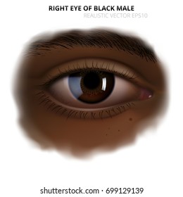 Realistic human eye. Detailed right eye of adult black person with a glossy brown iris. Dark skin of face with blurred transparent edge on a white background. Vector imitation of watercolor painting.