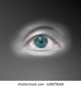 Realistic human eye on transparent background. Vector illustration.