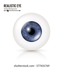 Realistisches menschliches Eyeball. 3D Glossy Foto realistische Augendetails mit Schatten und Spiegelungen. Einzeln auf weißem Hintergrund. Vektorgrafik.