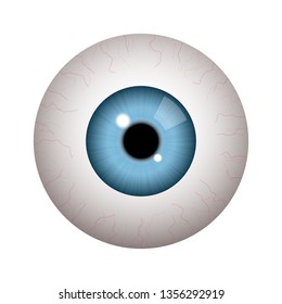 Realistic human eyeball with blue iris on white background 