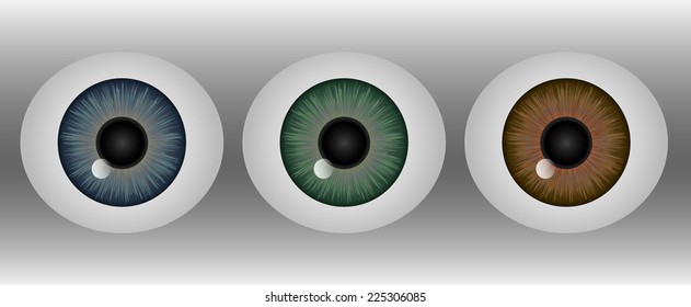 Realistic Human Eyeball Eps10 Vector Illustrations Featuring Blue, Green Or Brown Iris Colors And A Small Highlight.