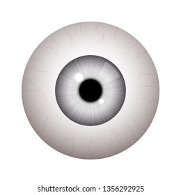 Realistic human eyeball on white background 