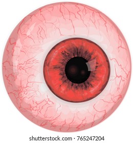 Realistic human eyeball with red iris 