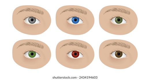 Realistic human eyes vector illustration design. Different colors irises, blue, gray, red, brown green