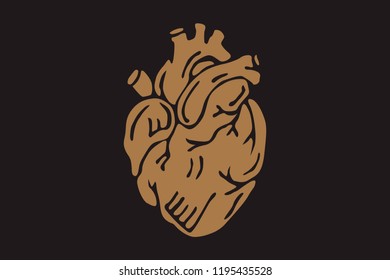 Realistic Human Heart