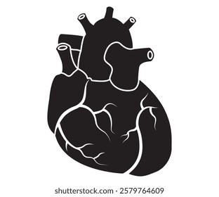 Realistic human heart anatomy concept silhouette illustration 