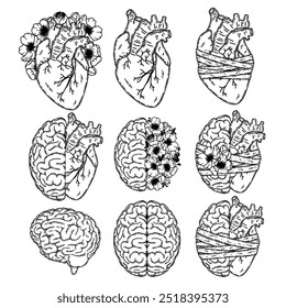 Realistic human heart and brain line art vector. Psychological or heart disease, mental health issues, logic and emotion priority concept 