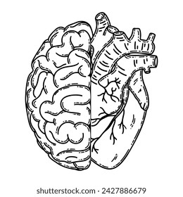 Realistic human heart half and brain line art vector. Psychological or heart disease, mental health issues, logic and emotion priority concept 