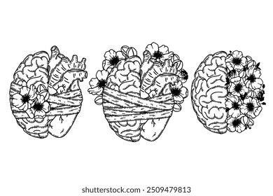 Realistic human heart half and brain line art vector. Psychological or heart disease, mental health issues, logic and emotion priority concept 