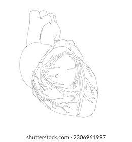 Dibujo realista de vectores de corazón humano Órganos humanos Fondo creativo de arte abstracto Concepto de moda. Esbozo de imagen simple color blanco y negro Vector contorno contorno contorno contorno contorno del órgano del corazón humano