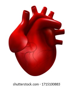 Ilustración realista del vector del corazón humano. Modelo de cardiología 3d aislado en fondo blanco. Corazón rojo, órgano interno, icono de anatomía.