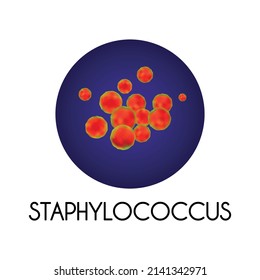 Realistic human internal organs intestinal microflora bacteria with staphylococcus image vector illustration