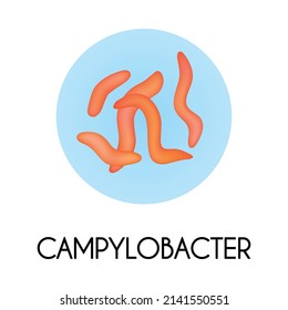 Realistic human internal organs intestinal microflora bacteria with campylobaster image vector illustration