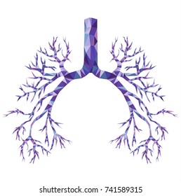 Realistic Human low poly bronchus with trachea, carina in purple and blue. Human organ. Vector.