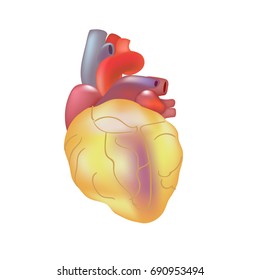 Realistic human sick heart isolated on dark gray background.