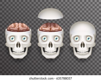 Realistic human skull with eyes and brain isolated icons set 3d realistic mockup transparent background design vector illustration