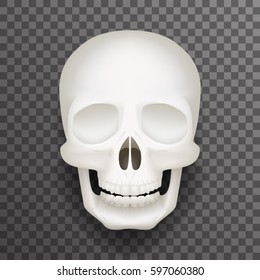 Realistic human skull isolated realistic fashion mockup transparent background design vector illustration