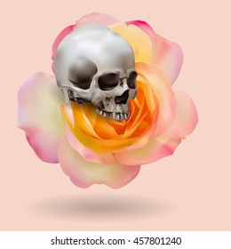Realistic human skull with shadow on yellow with pink rose flower on pink background