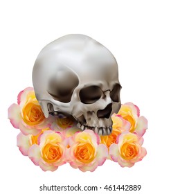 Realistic human skull with shadow on yellow with pink rose flower on white background