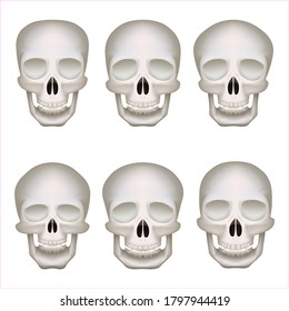 Realistic human skulls set isolated vector 3d illustration