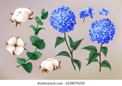 Realistic hydrangea. Cotton flowers. Eucalyptus leaves. Hortencia blossoms. Floral decoration. Summer nature wedding. Beauty garden. Blooming branch. Vector 3D exact natural elements set