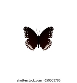 Realistic Hypolimnas Element. Vector Illustration Of Realistic Spicebush Isolated On Clean Background. Can Be Used As Hypolimnas, Black And Butterfly Symbols.