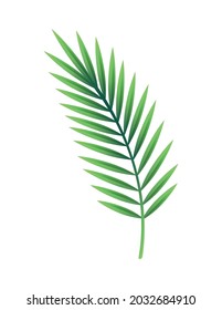 Realistic icon with big green paper leaf on white background vector illustration