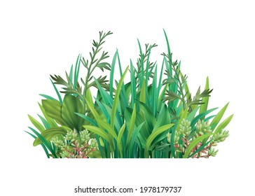 Realistic icon with mixture of various green grasses cereals succulents vector illustration