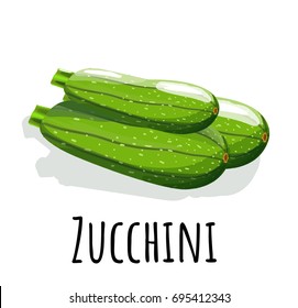 Realistic Icon zuccini, food vegetable  for the game or web app. Isolated vector illustration on white background.