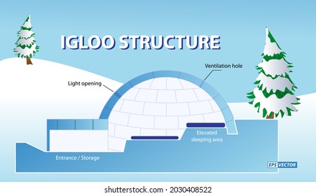 realistic igloo dome or igloo ice house cartoon style or snow ice home of the eskimos. eps vector