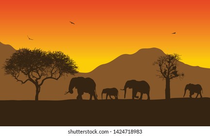 Realistic illustration of African landscape with safari, trees and family of elephants under orange sky with rising sun. Mountains with flying birds in background - vector