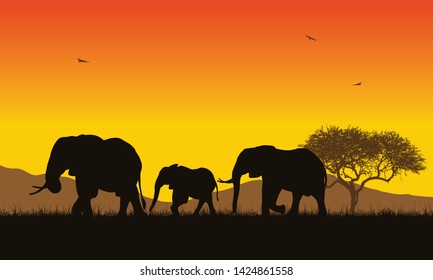 Realistic illustration of African landscape with safari, trees and family of elephants under orange sky with rising sun. Mountains with flying birds in background - vector