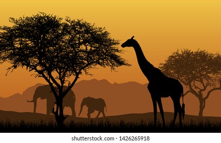 Realistic illustration of African safari with mountain landscape, trees and elephant and giraffe. Under the orange sky with rising sun - vector