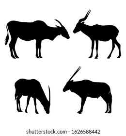 realistic illustration of anilope or gazelle silhouettes. Standing and grazing, isolated on white background - vector