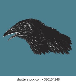Realistic illustration of black crow