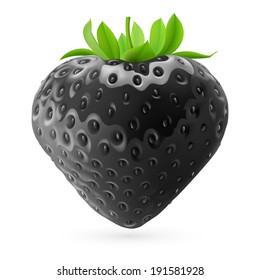 Realistic illustration of black strawberry on white background
