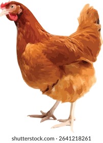 Realistic Illustration of a Brown Hen or Chicken Isolated on White