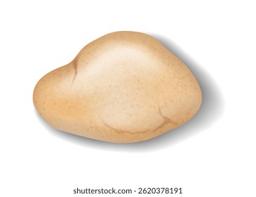 Realistic illustration of a brown potato with natural textures and subtle shadows. Depicts food and cooking ingredients. Perfect for culinary and nutrition themes.
