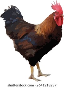 Realistic Illustration of a Brown Rooster or Cock Isolated on White