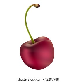 Realistic illustration of cherry - vector file