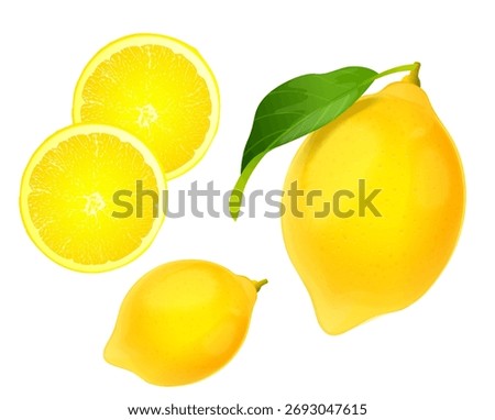Realistic illustration, close up of yellow lemons on white background. Set of isolated lemons with sliced and whole lemons with leaves.