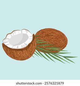 Realistic illustration of coconut with palm branch, vector. Scenic drawing for packaging design