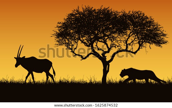 Realistic illustration of a creeping lion and gazelle or antelope silhouettes. The feline hunts for an oryx. Safari landscape with grass, tree and orange sky. Lion mural wallpaper. 