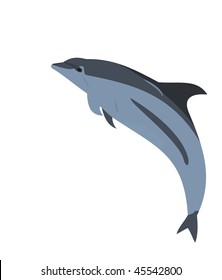 Realistic illustration of a dolphin - vector