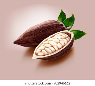 realistic illustration of dry cocoa pods and a pod cut in half which contains many beans inside, isolated on cream background