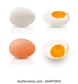 Realistic illustration egg white and egg yolks on white background.