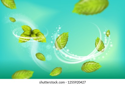 Realistic Illustration Flying Mint Leaf Vector. 3d Image Set Fresh Mint Foliage. Refreshing Effect Whitening Toothpaste with Addition Mint. Dental Remedy for Teeth Oral Cavity. on Green Background